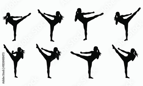 Karate Fighter Silhouette Collection Kick and Punch Poses