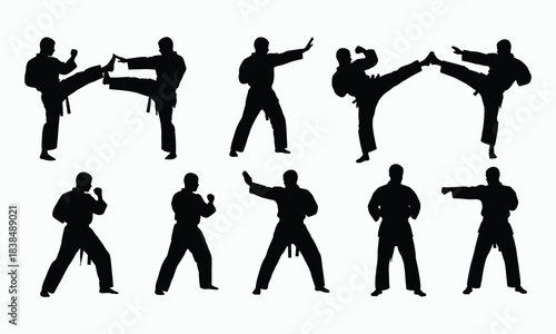 Karate Fighter Silhouette Collection Kick and Punch Poses