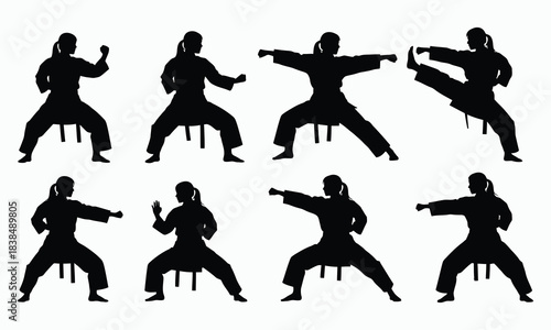 Karate Fighter Silhouette Collection Kick and Punch Poses