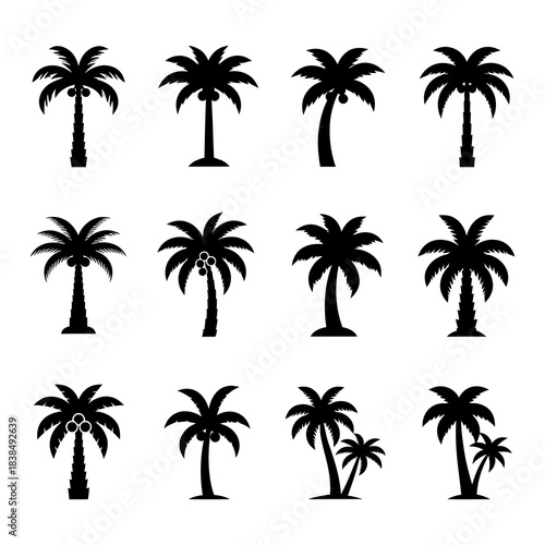 Tropical palm trees set silhouettes Black palm trees set isolated on white background. Palm silhouettes. Design of palm trees for posters, banners and promotional items.