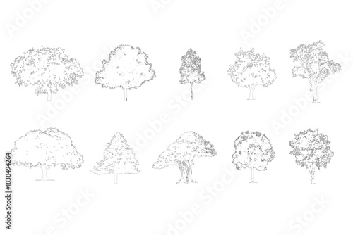 CAD Tree Block – 2D AutoCAD Tree Drawing for Architecture and Landscape Design