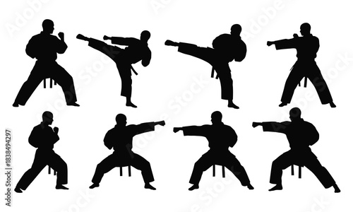 Martial Arts Silhouette Set Karate and Taekwondo Poses