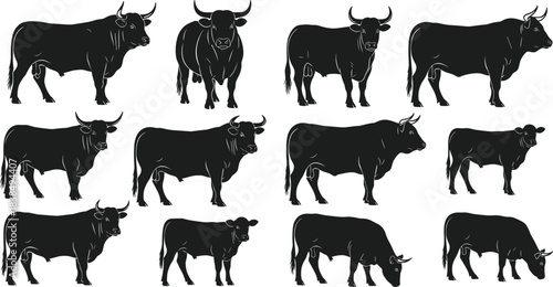 Bull silhouettes set in multiple poses, farm animal livestock icons, powerful cattle shapes isolated on white background illustration