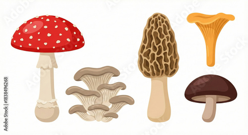 Diverse Collection of Wild and Edible Fungi Vibrant Mushroom Assortment for Nature and Culinary Themes