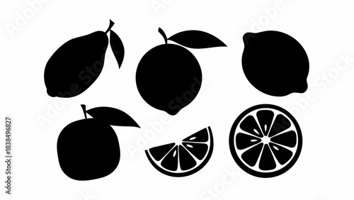 Stunning collection of black and white citrus fruit silhouettes perfect for clean modern food branding and design