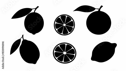 Stunning collection of black and white citrus fruit silhouettes perfect for clean, modern design projects