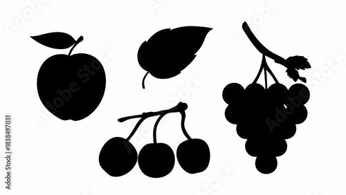 Stunning collection of dark fruit silhouettes perfect for elegant design projects and healthy eating visuals