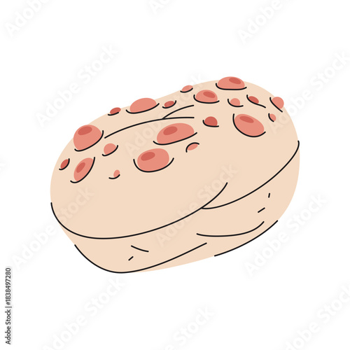 Common earthball or pigskin poison puffball. Vector mushroom or cartoon scleroderma citrinum icon. Forest wildlife flora and organic fungi. Field or woodland toadstool. Mycology and botany, biology.
