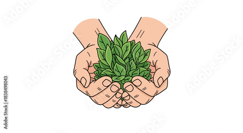 Illustration of hands holding a vibrant green plant, symbolising care and environmental stewardship