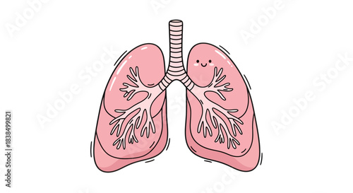Whimsical lungs illustration showcasing respiratory system health with adorable simplicity