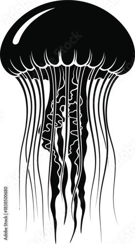 Jellyfish Marine Wildlife Silhouette