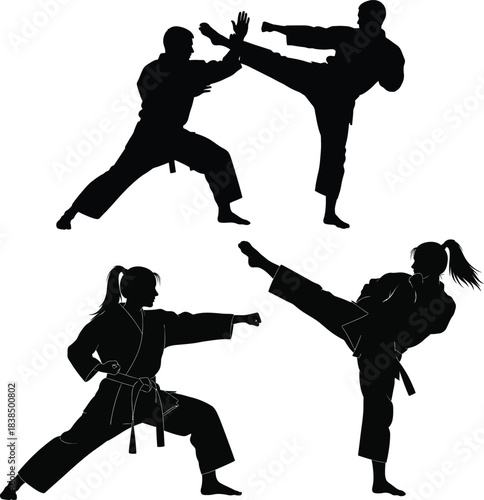 Silhouettes of martial artists practicing dynamic kicking techniques