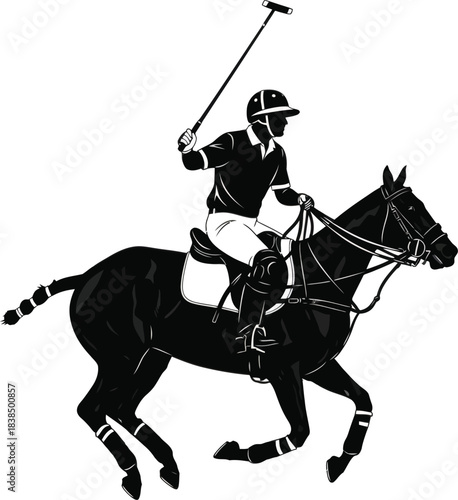 Polo Player Horse Riding Sports Silhouette