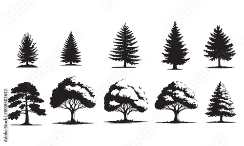 Diverse tree silhouettes collection, various species, isolated