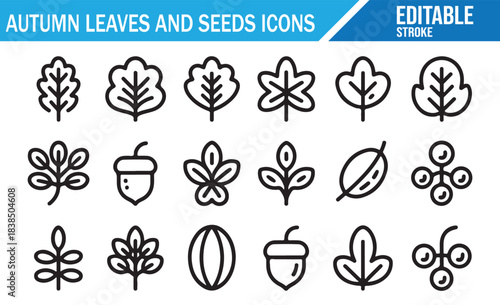 Minimal fall leaves and acorn outline icons collection for design use