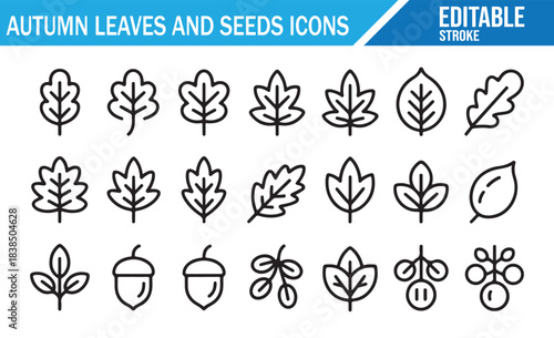 Editable autumn botanical symbols vector set with leaves and forest seeds