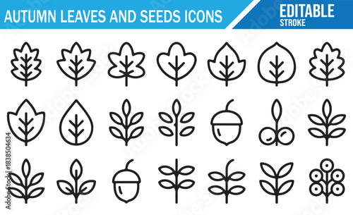 Fall season nature icon collection with leaves, seeds and acorns in line style