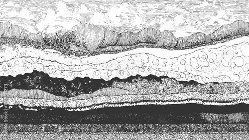 Black and white abstract wavy lines and textured horizontal bands background 