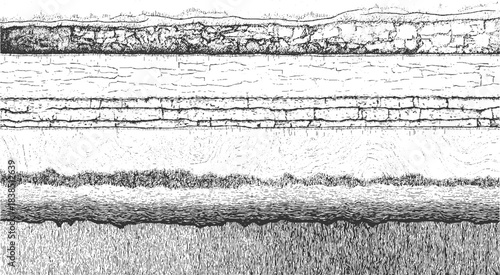 Detailed black and white illustration of folded geological strata and rock formations geology
