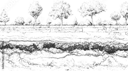 Detailed black and white illustration of folded geological strata and rock formations geology