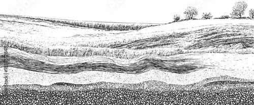 Detailed black and white illustration of folded geological strata and rock formations geology