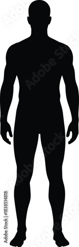 Young Woman Full Body Profile Silhouette Vector, Long Hair, Athletic/Casual Wear, Looking Up, Representing Beauty, Wellness, Fitness, Freedom, and Positive Aspiration