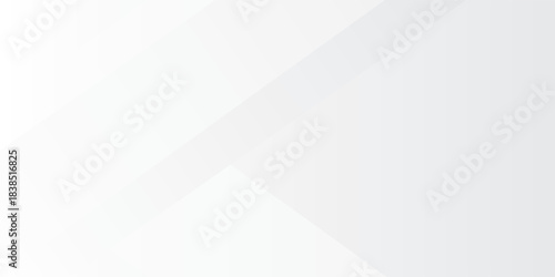 Abstract white and grey on light silver background modern design