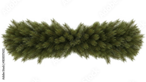 Christmas pine branch trees png.
