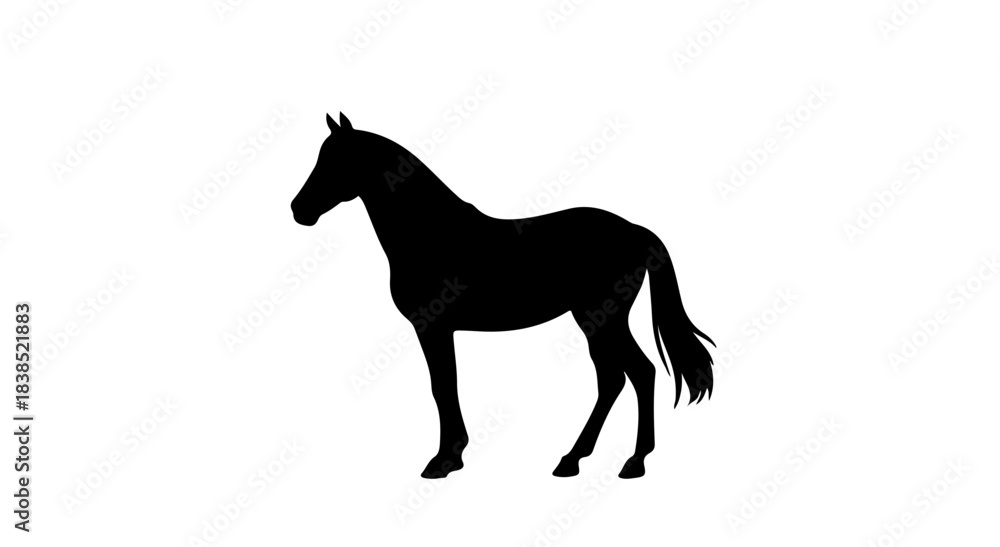 Fototapeta premium Elegant standing horse silhouette, sleek black graphic design