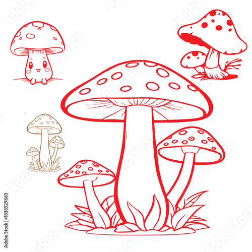mushrooms surrounding grass and leaves