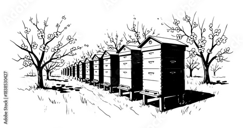 row of beehive boxes in orchard vector shape silhouette illustration