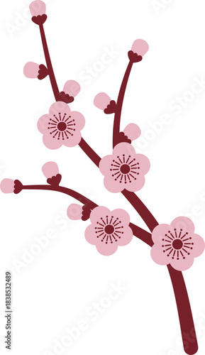 Pink plum blossom branch with buds. Chinese flower with flat design. Japanese floral illustration.