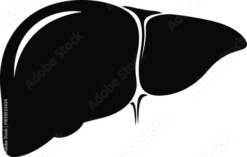 black liver silhouette on white background clip art preview