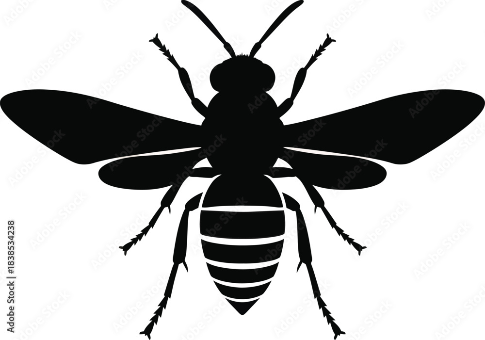 Obraz premium Wasp Silhouette