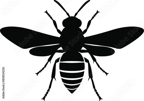 Wasp Silhouette