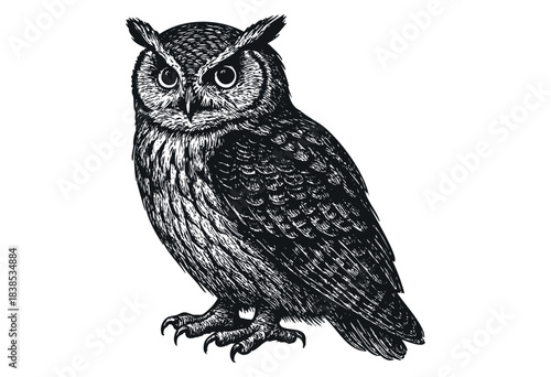Hand-drawn illustration of a great horned owl in black and white engraving style — stock illustration.
