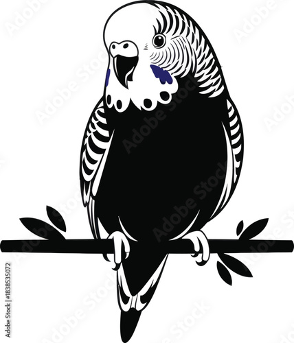 Parakeet bird perched silhouette