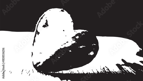 Close up of a white seashell resting on a dark textured surface with high contrast and abstract detail.