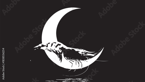 Moon Crescent with Silhouetted Flying Creature on a Dark Night Sky.