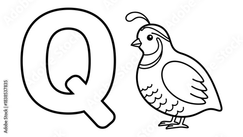 Alphabet coloring page with quail and letter q for kids education and fun