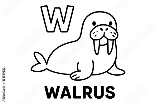 Alphabet w: cute walrus outline for preschool learning activities