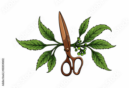 Illustration of a pair of scissors artistically integrated with green leaves and small berries, symbolizing creativity and nature's influence in craftsmanship