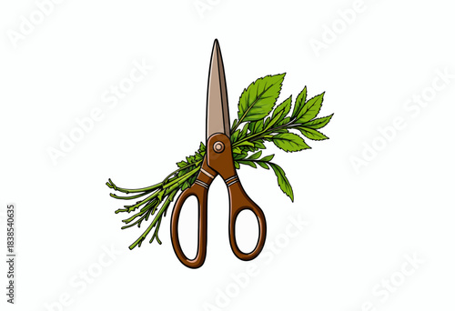 Illustration of Garden Scissors Cutting Fresh Green Herbs for Culinary and Medicinal Uses Amidst a Simple White Background
