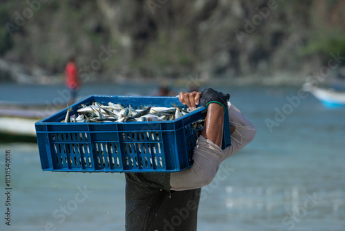 Un pescador lleva sobre su hombro una cesta llena de sardinas en la isla de Margarita.
