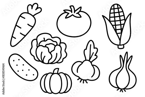 Outline vegetables collection: carrot, tomato, corn, cabbage, garlic, onion, pumpkin