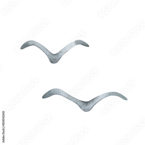 Watercolor illustration of two seagulls. Hand drawn clipart of grey migratory bird silhouettes in flight. Decorative graphic element for fabric, cards, nautical design