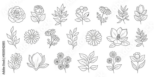 Botanical flowers, leaves, black and white, daisy, rose, magnolia, nature sketch, floral design, grid layout, flat vector illustration