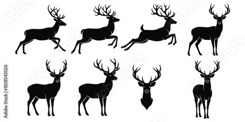 Deer silhouettes, antler poses, black vector animals, wildlife illustration, standing and leaping deer, elegant nature design, flat vector illustration