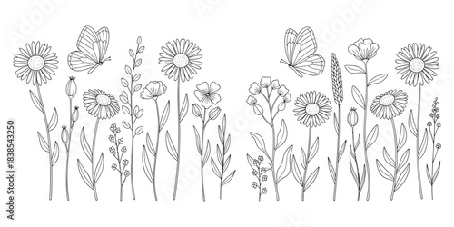 wildflowers, butterflies, floral, botanical, sketch, nature, insect, black, white, drawing, vector, bee, petals, leaves, design, wildflower sketch, butterfly 
