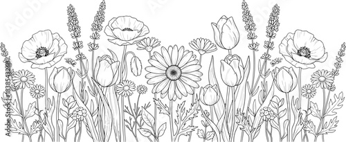 Blooming flowers, wildflower cluster, botanical drawing, black and white floral art, elegant nature design, detailed line illustration, flat vector illustration